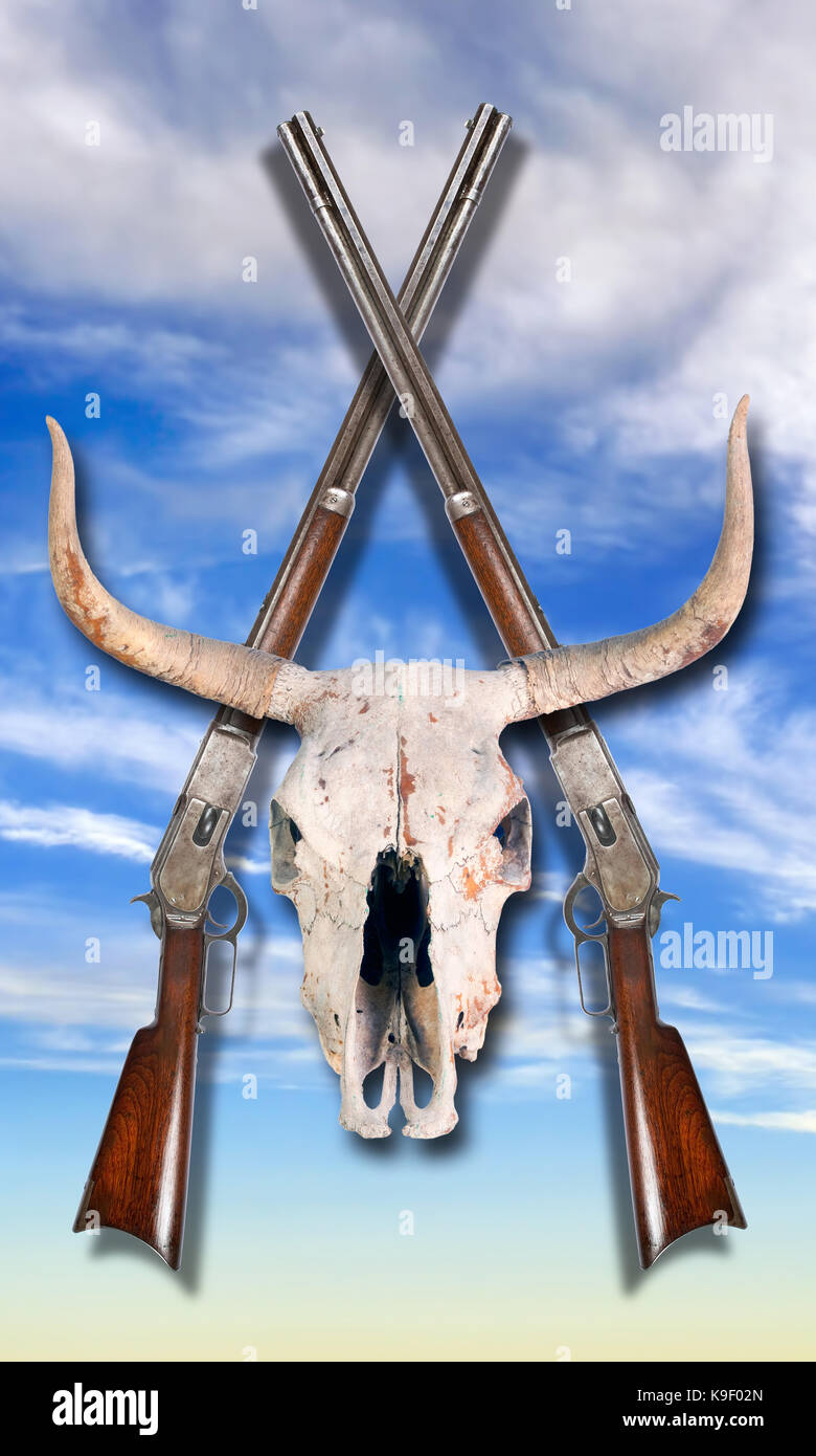 Antique cowboy lever action rifle and cow skulls . Stock Photo