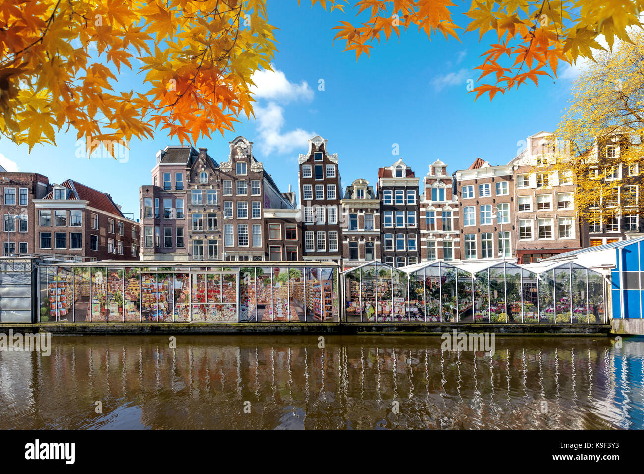 Autumn season at Amsterdam street traditional ancient dutch colorful buildings and flower market on Single canal in Amsterdam, Netherlands. Stock Photo