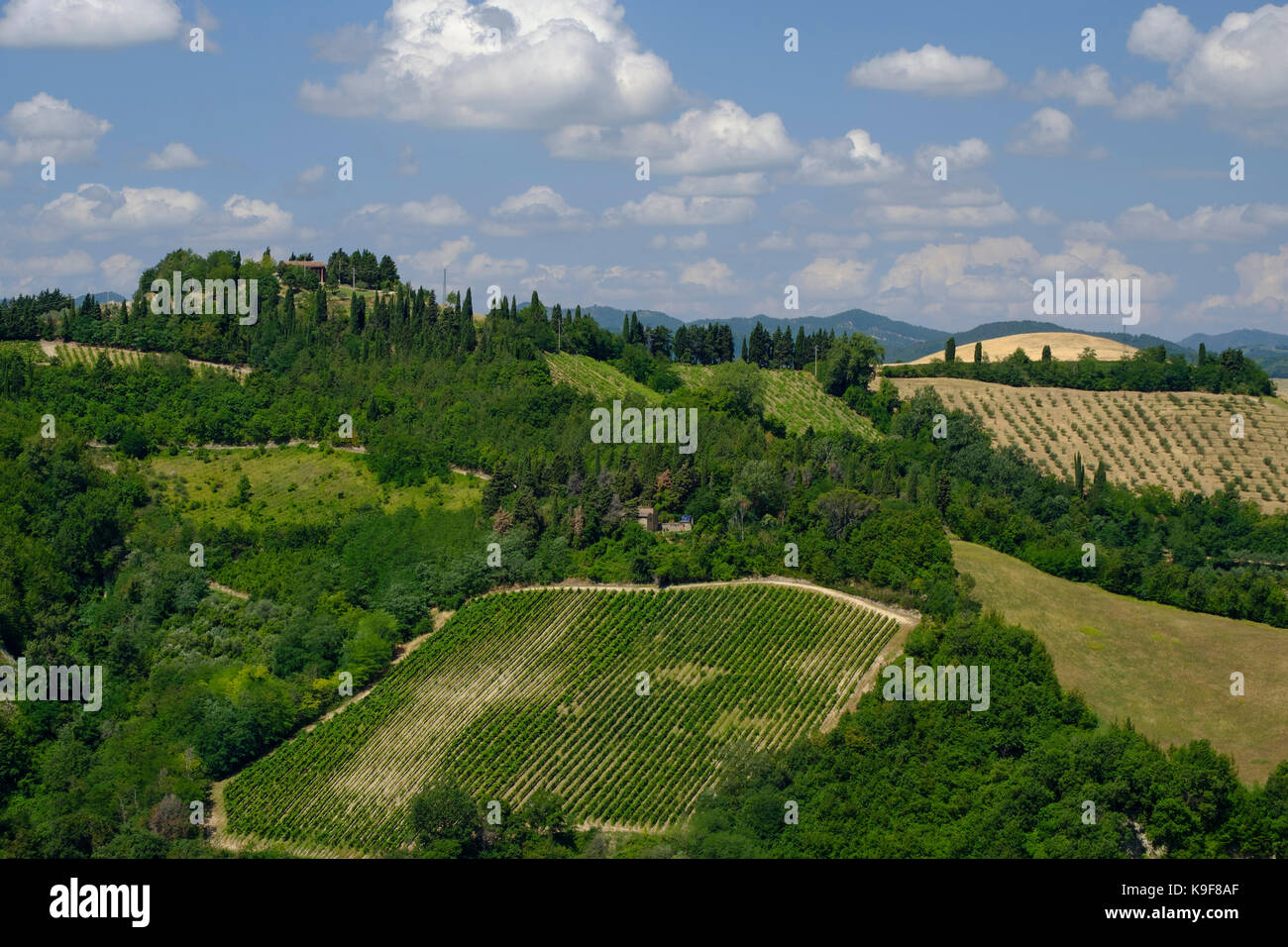 Rural landscape at summer along the road from Brisighella to Modigliana (Ravenna, Emilia Romagna, Italy) Stock Photo