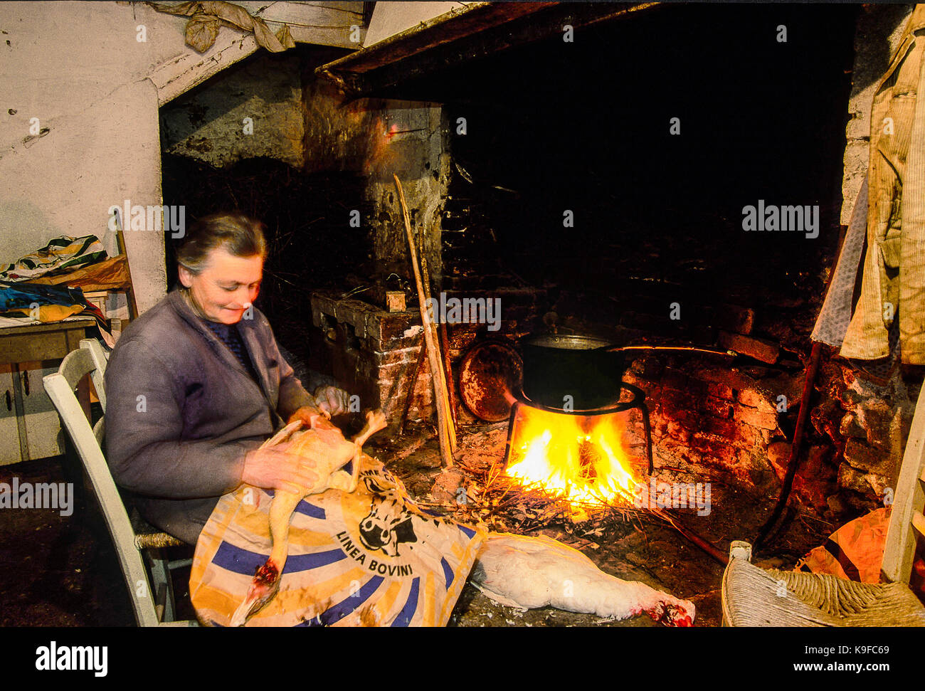 Italy Marche Valle Dell'Aso ancient colonic house -woman he plucked chicken Stock Photo