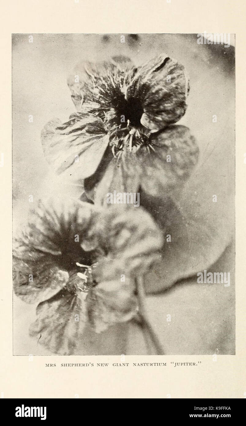 Shepherds descriptive catalogue hires stock photography and images Alamy