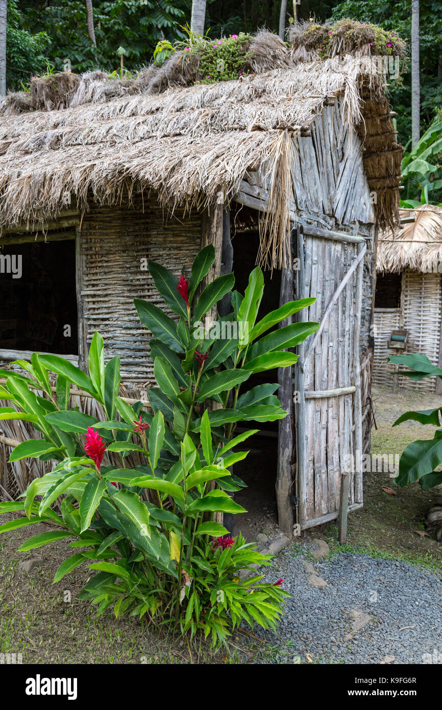 St. Lucia.  Ginger Plant Growing in front of Replica of House for Plantation Laborers during Colonial Era on the Morne Coubaril Plantation. Stock Photo