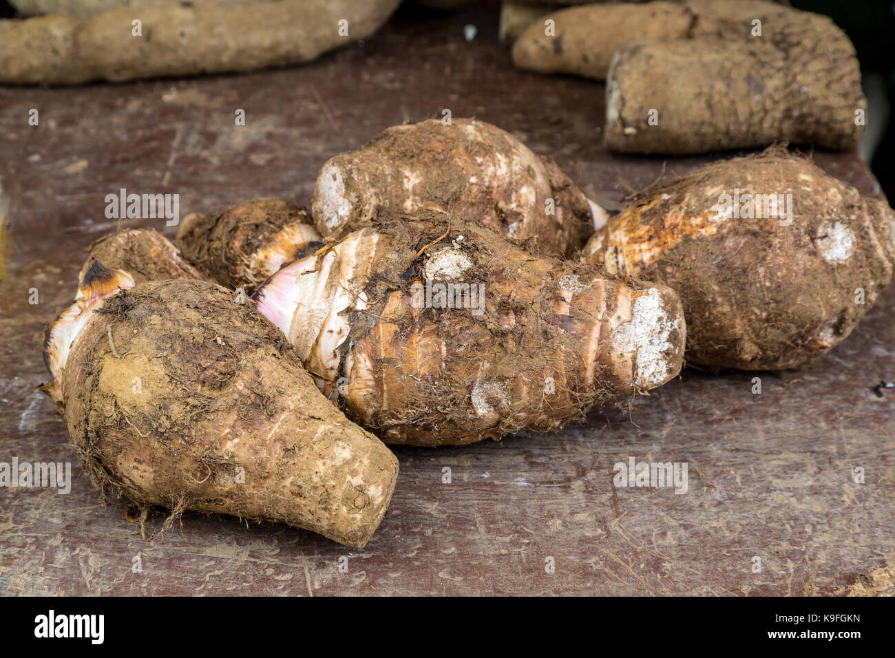 Fort-de-France, Martinique.  Eddo, a Starchy Root. Stock Photo