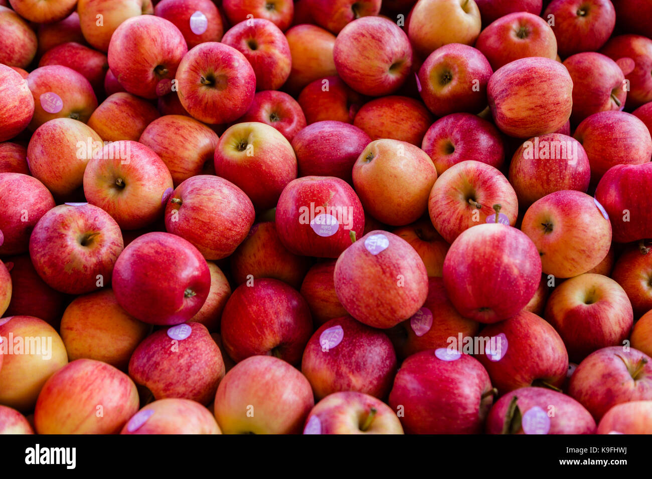 Apples for sale Stock Photo Alamy
