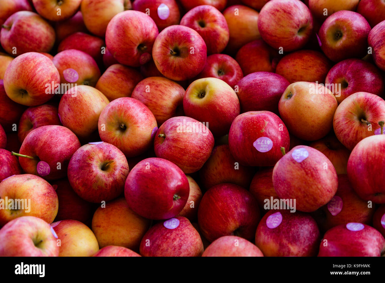 Apples for sale Stock Photo Alamy