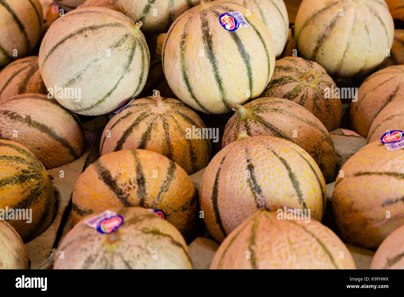 Melons for sale Stock Photo Alamy