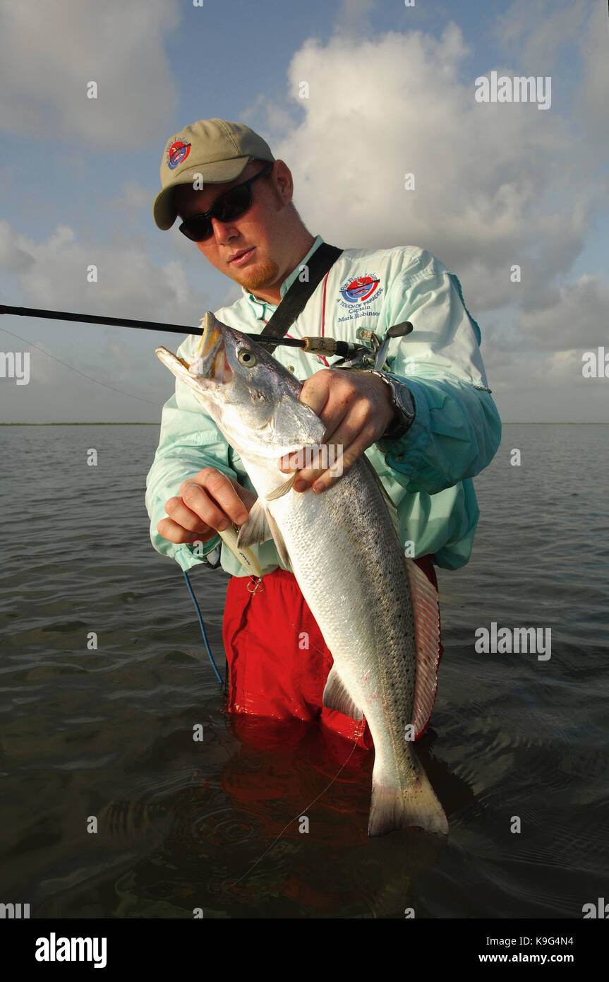A speckled trout or spotted sea trout caught near Seadrift, Texas Stock