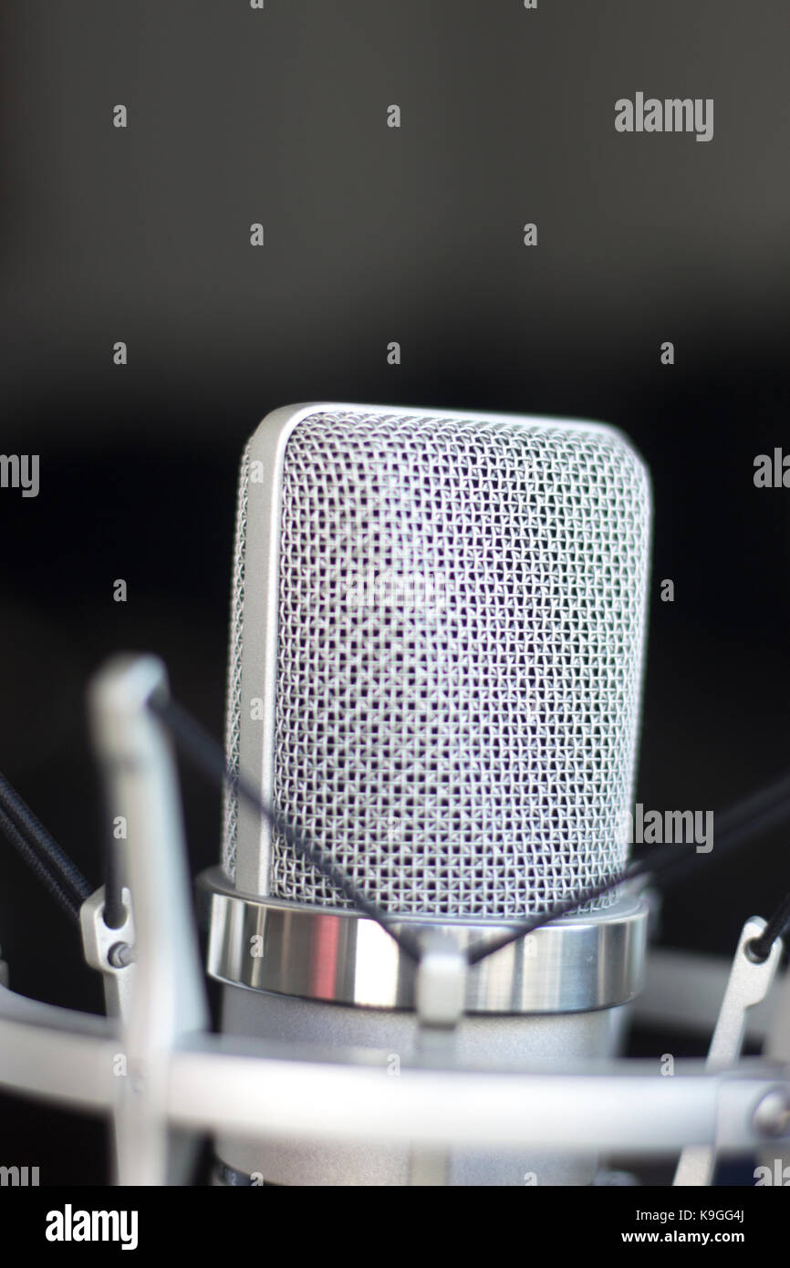 Large diaphragm condenser studio recording voice microphone to record ...