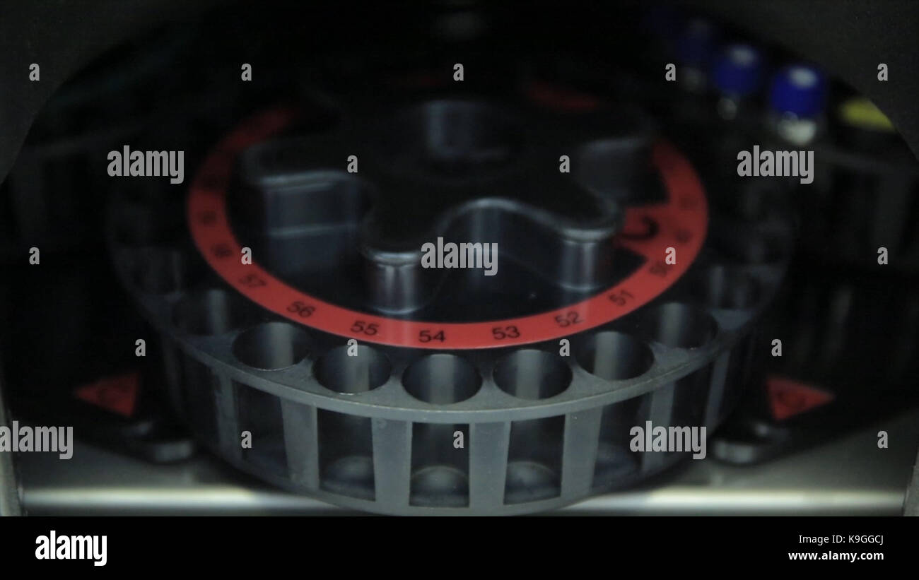 Scientist putting small tube to machine in laboratory. centrifuge