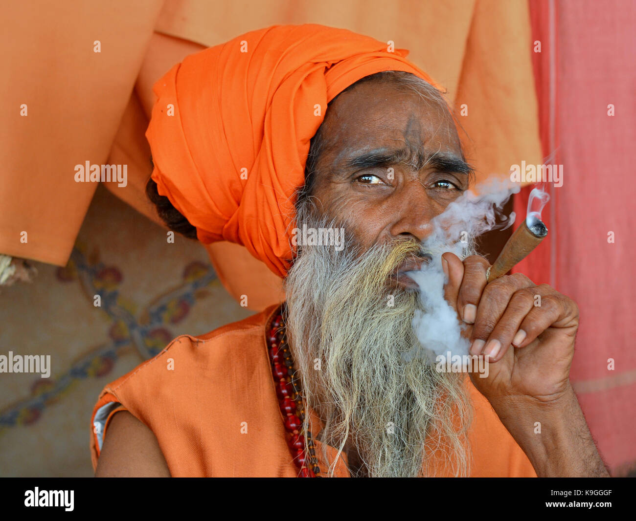 Old sadhu with dread bun and orange headwrap smoking hashish (marijuana) in a chillum pipe Stock Photo