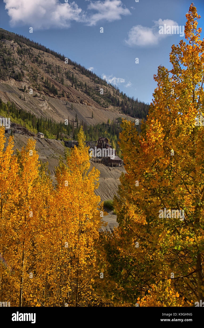 rocky mountain fall autumn tree colors Stock Photo - Alamy