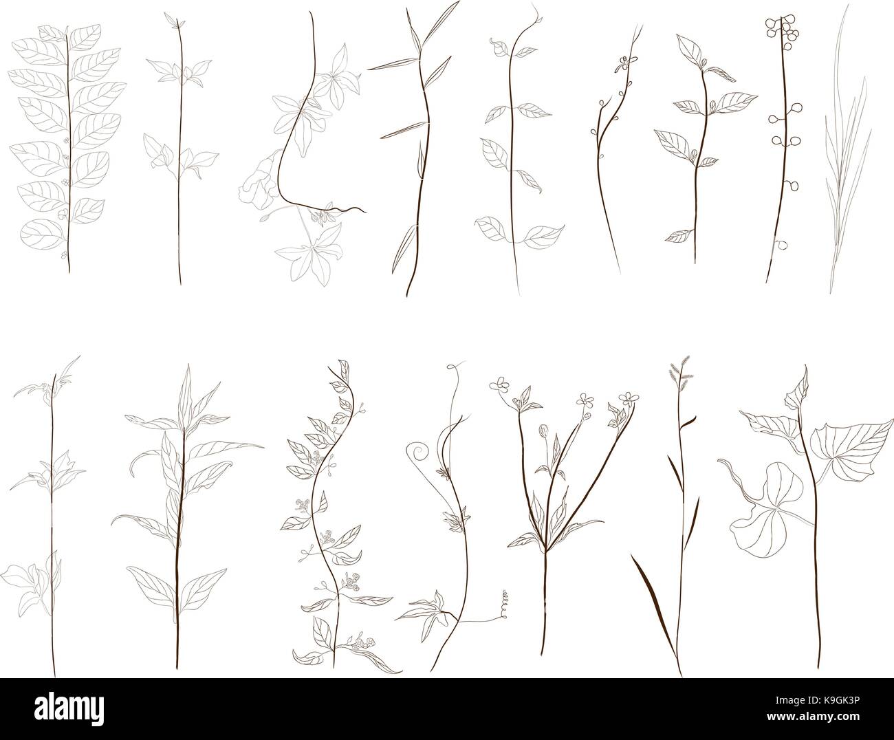 Hand Drawn vintage floral and decor elements Stock Vector Image & Art ...