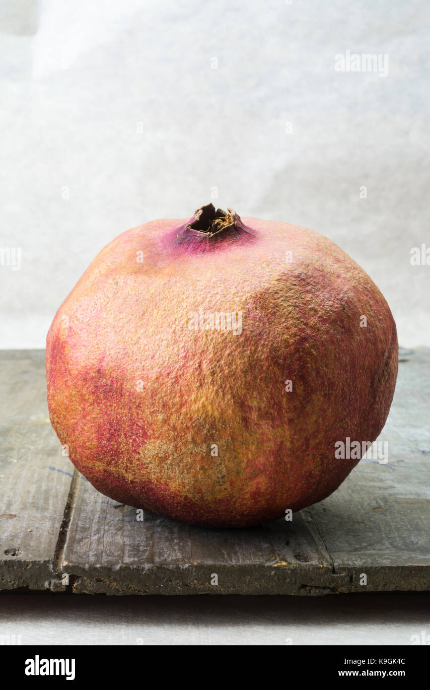 Whole Pomegranate (Punica granatum) Stock Photo