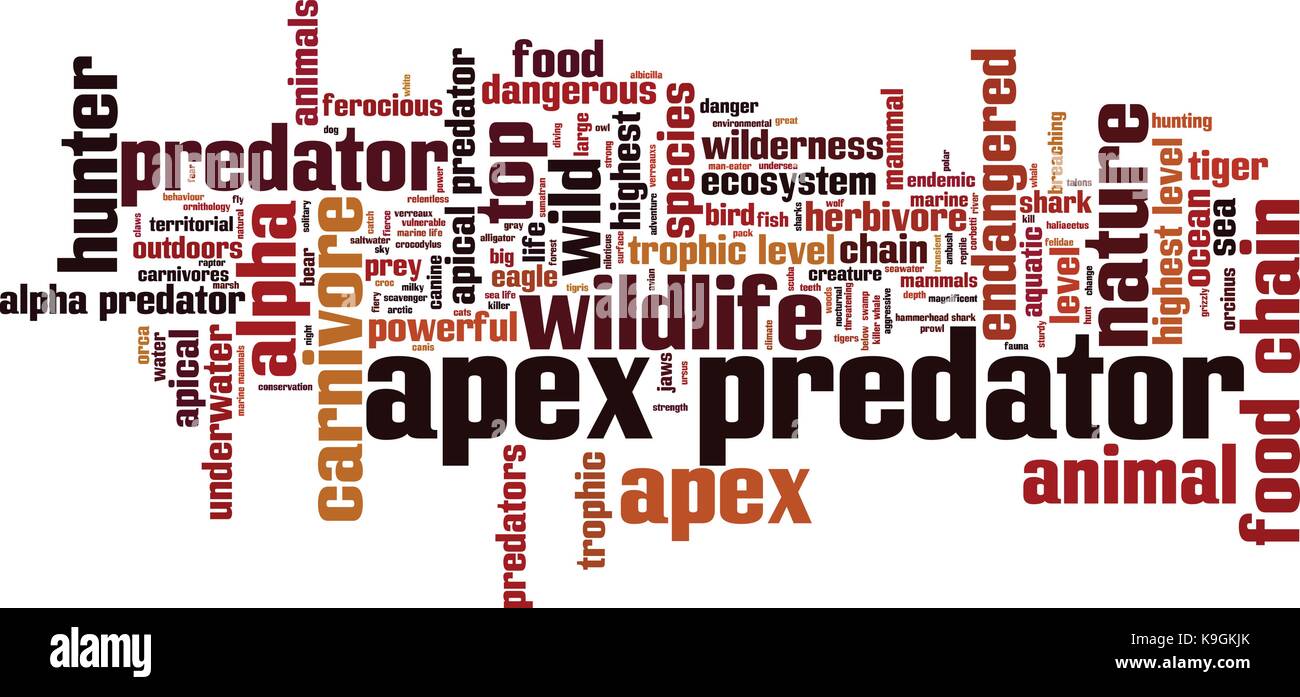Apex predator word cloud concept. Vector illustration Stock Vector