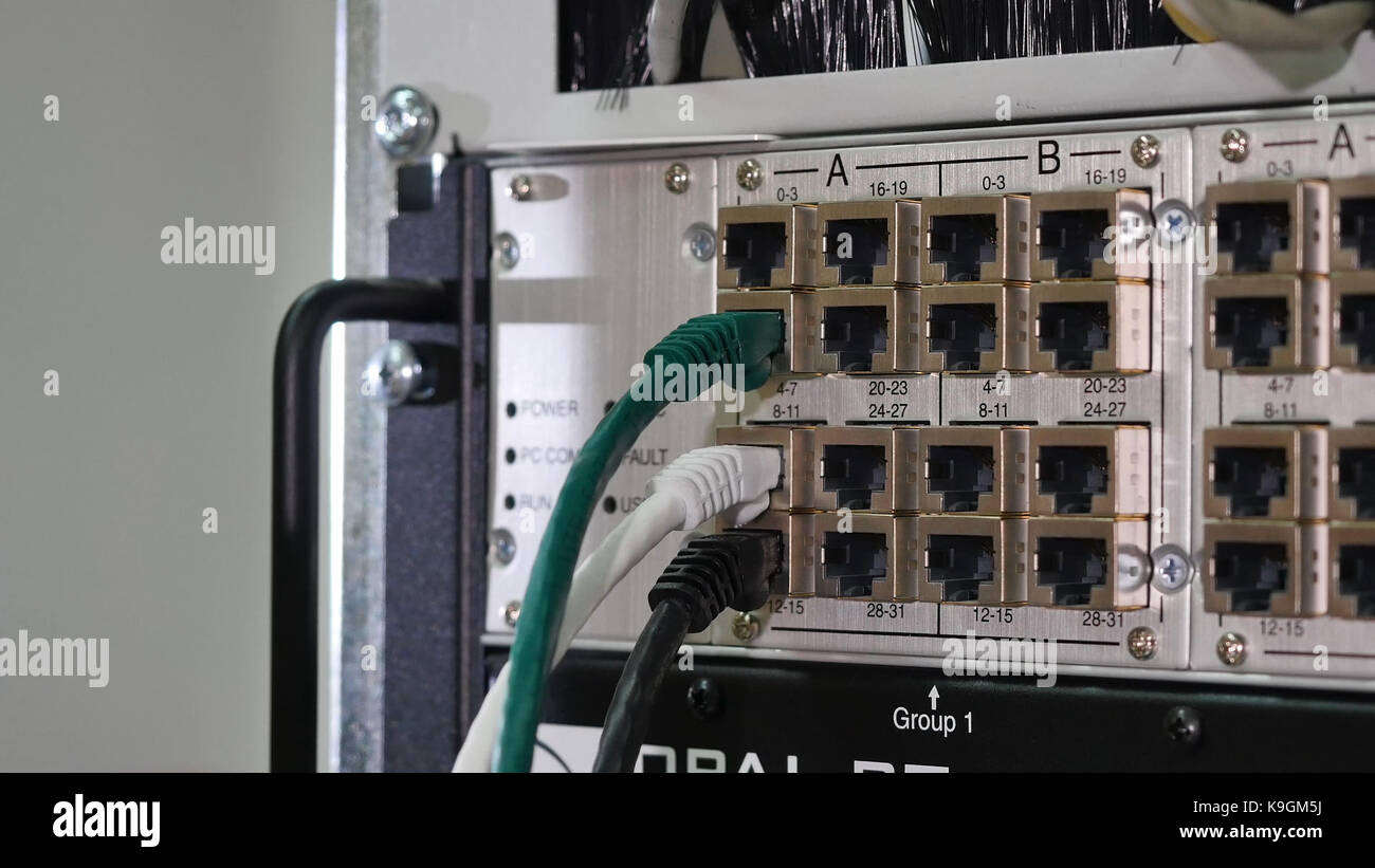 Networking service. network engineer administrator checking server