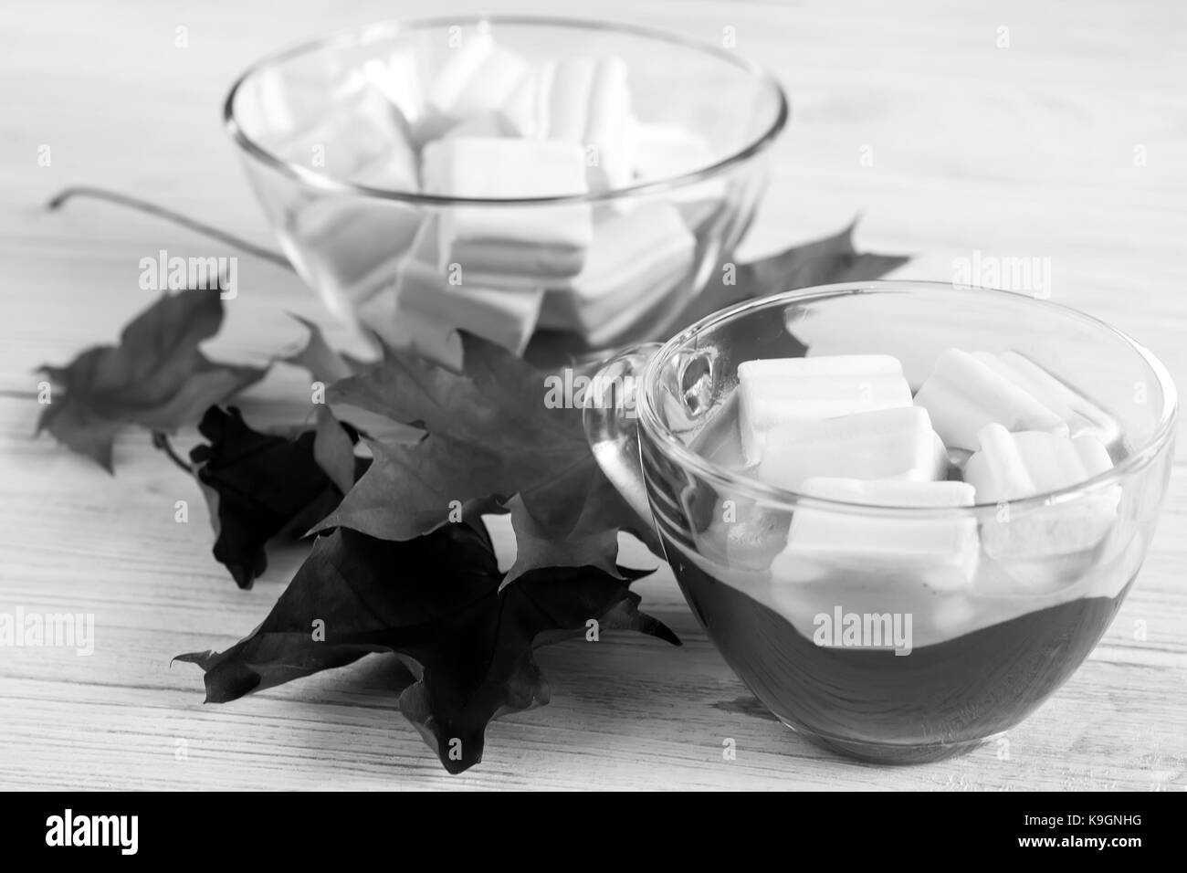 Cup with cacao and marshmallows and dry maple leaves on wooden background. Black and white Stock Photo
