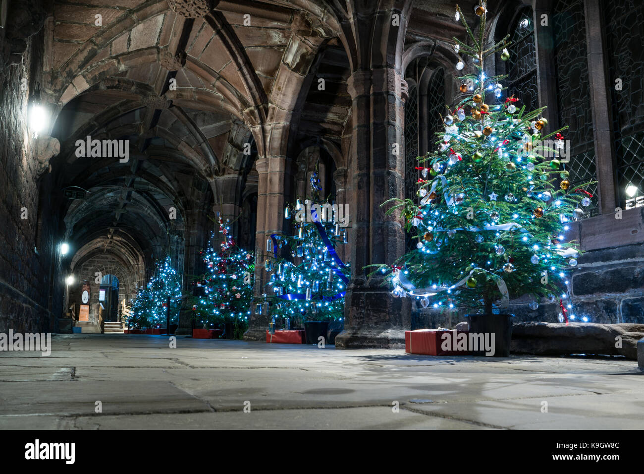 Christmas trees in Chester Cathedral Stock Photo Alamy
