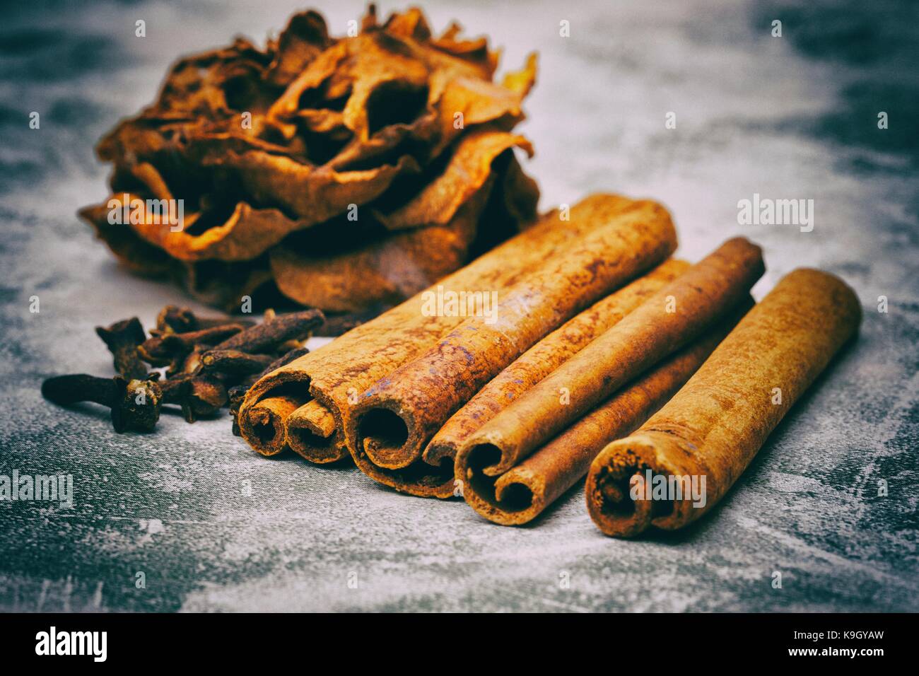 A dry rose, cinnamon and gloves on a vintage background Stock Photo