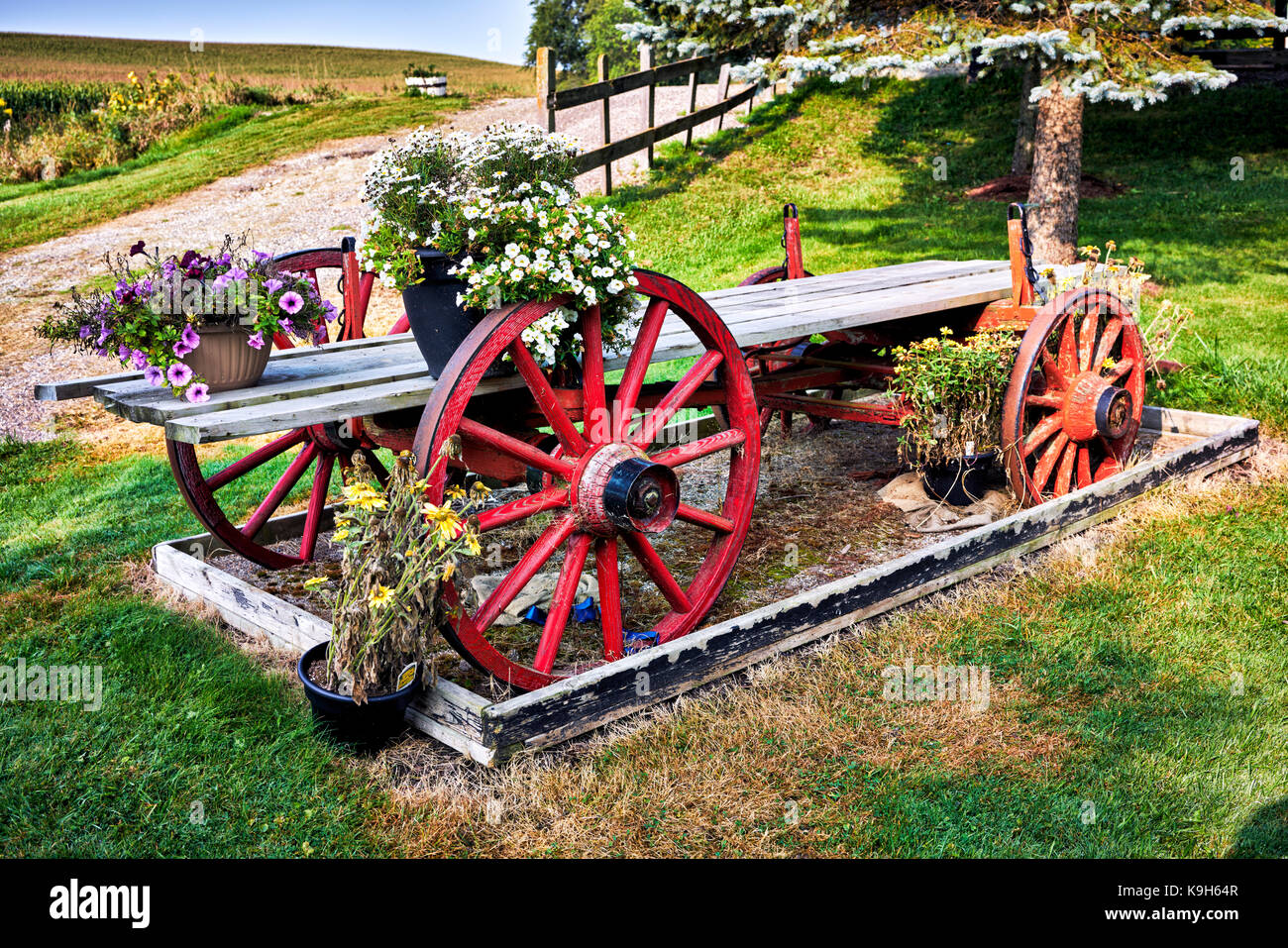 Painted farm wagon with floral displays Stock Photo