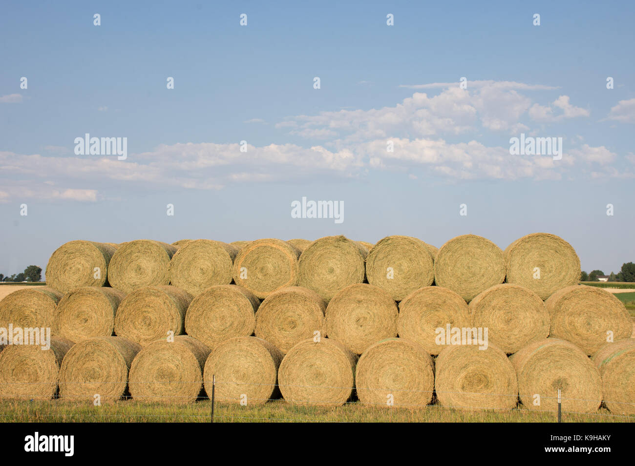 Stacked round hay bales in a field with blue sky and scattered clouds ...
