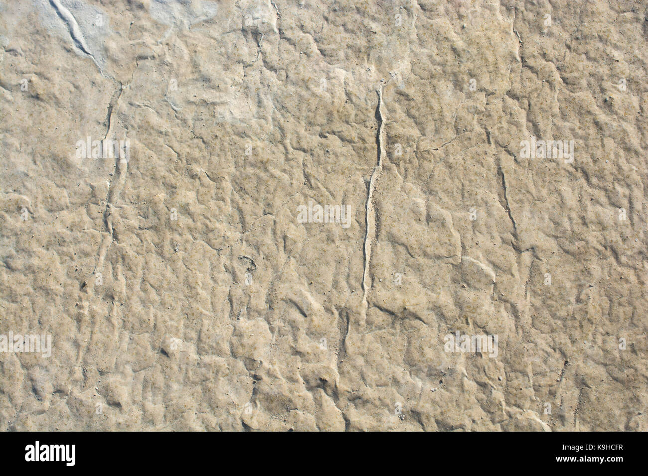 Patterns on a freshly poured concrete surface Stock Photo - Alamy