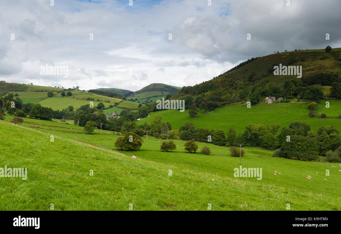 Scenic landscape panorama on the mountain Gyrn Moelfre above the Tanat Valley near to Llansilin in Powys North Wales Stock Photo