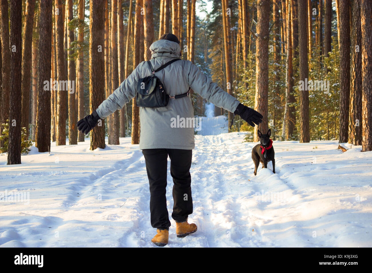 man with a dog in winter forest Stock Photo - Alamy