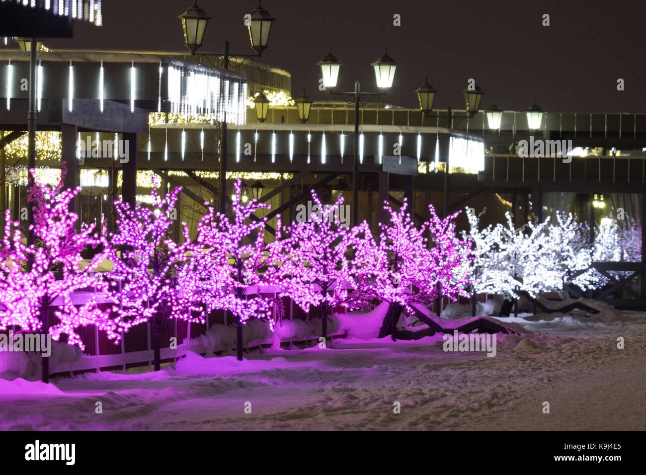 Night winter landscape in the alley of city park Stock Photo - Alamy