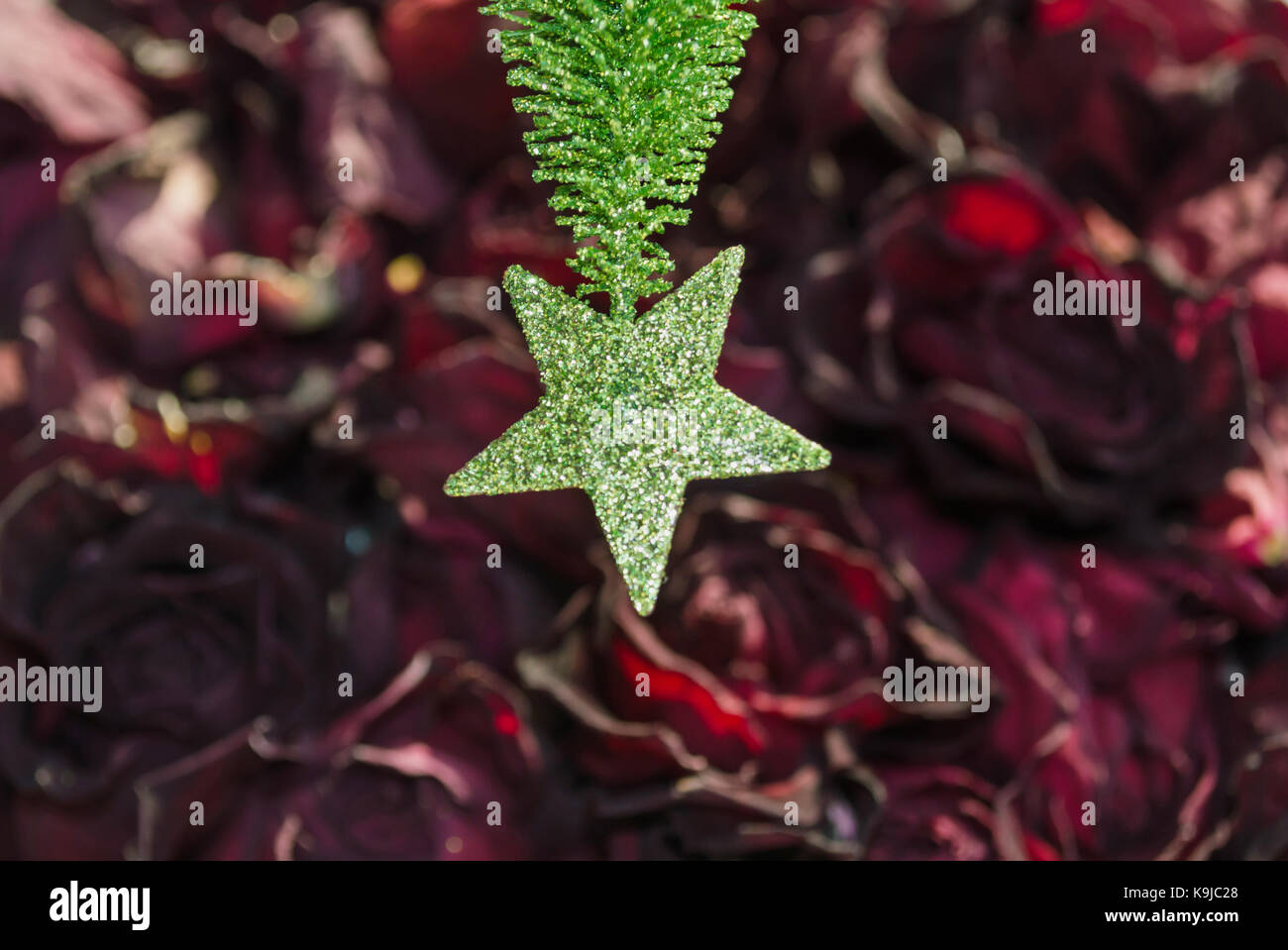 christmas tree star on red background Stock Photo - Alamy