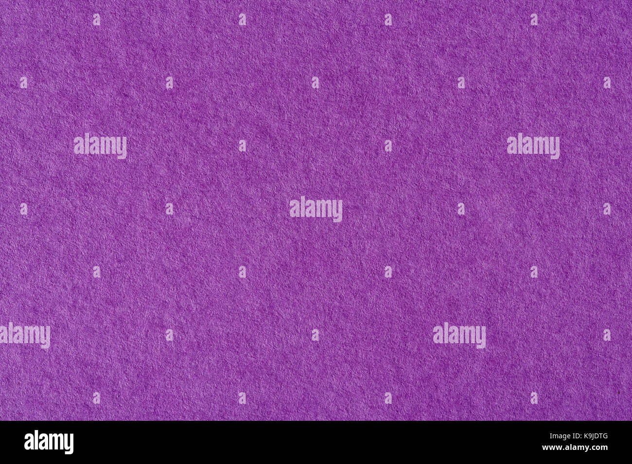 Purple paper texture background. High resolution photo Stock Photo - Alamy