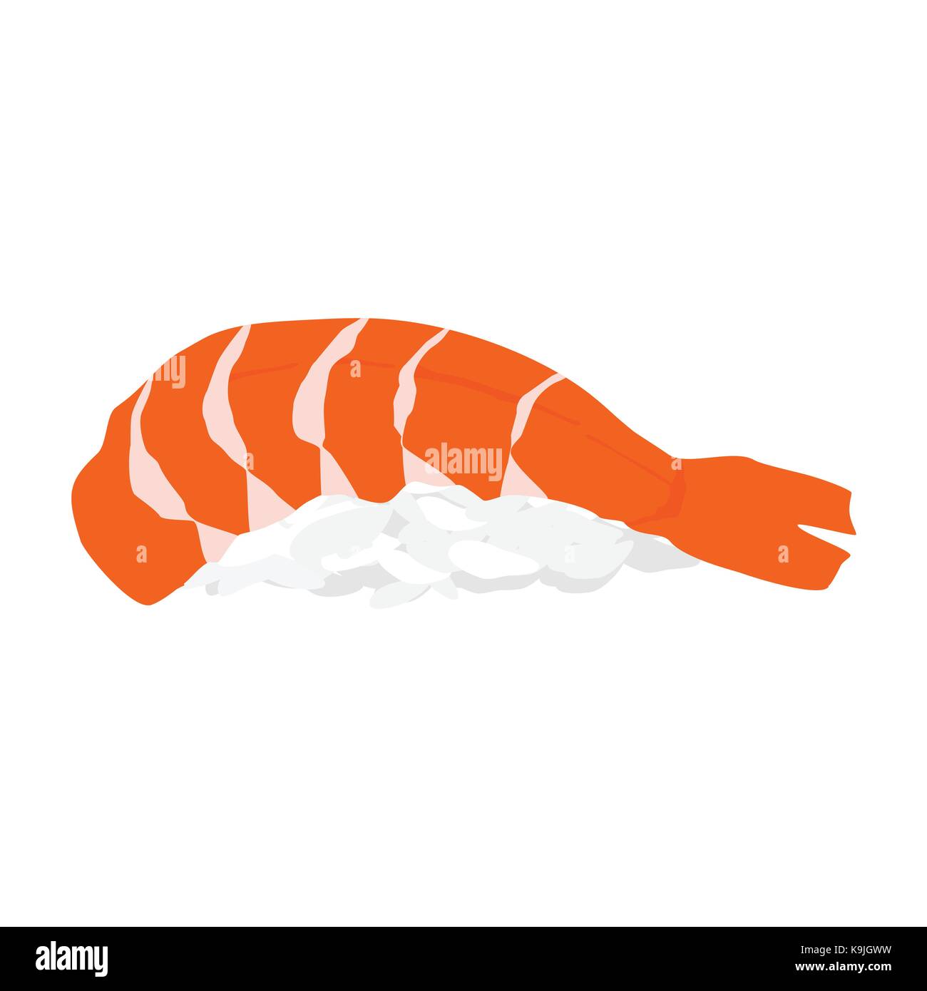 Vector illustration sushi ebi nigiri with shrimp isolated on white