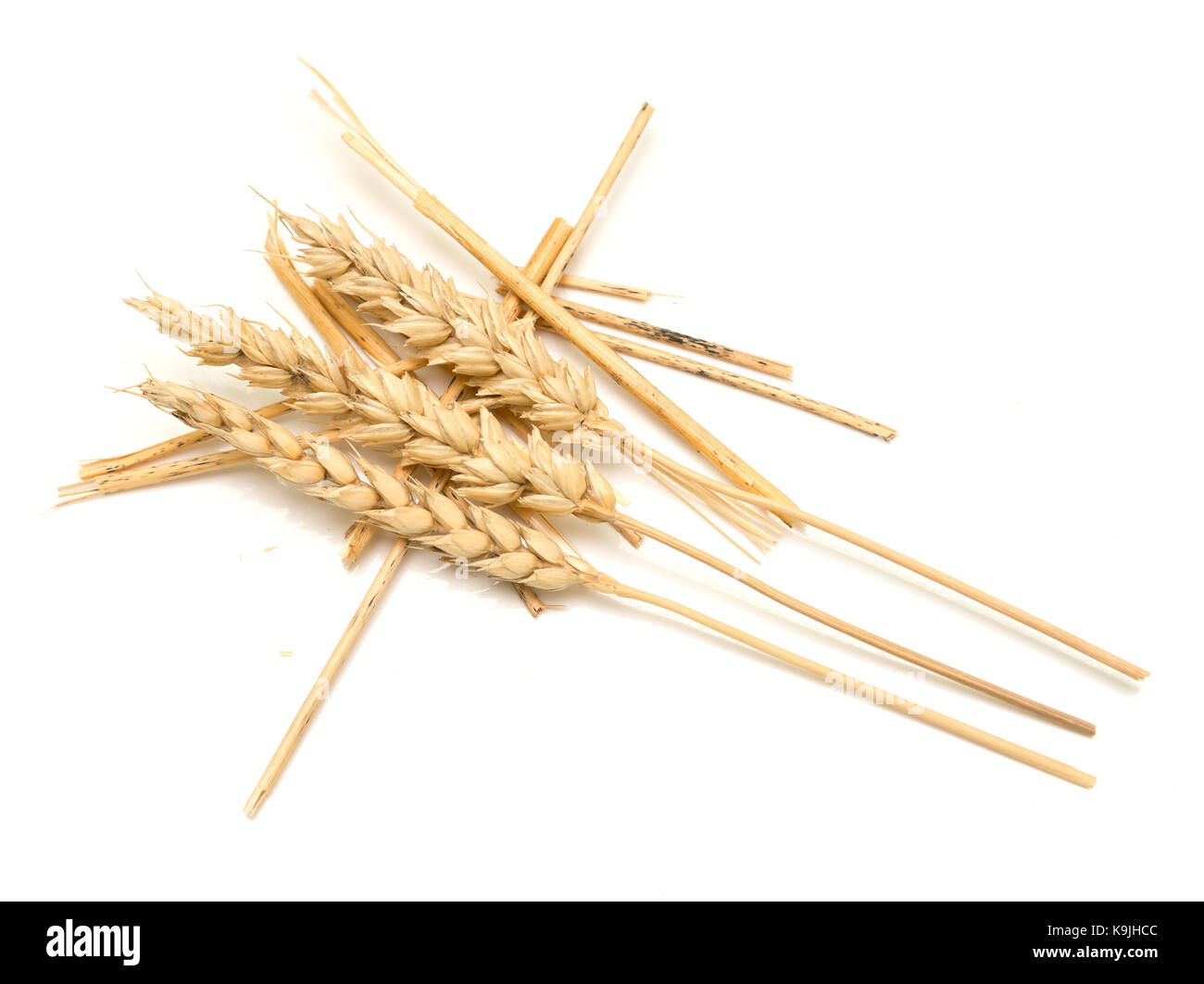 wheat and straw on white background Stock Photo Alamy
