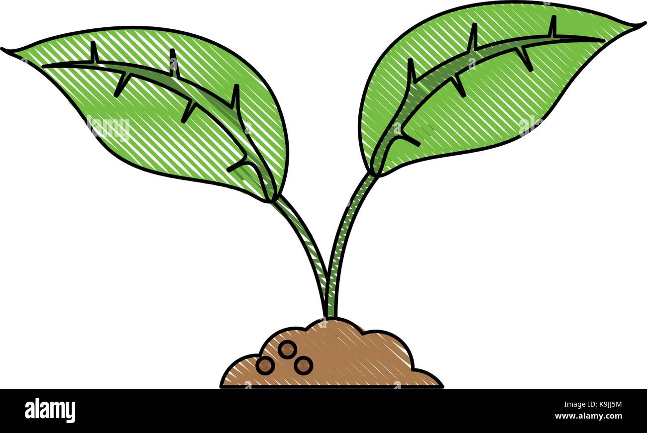 Plant on ground Stock Vector Image & Art - Alamy