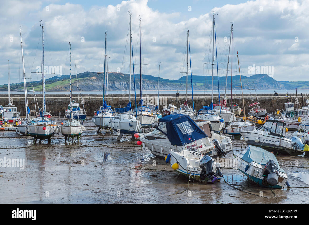 Lyme Regis, Coastal Town in Dorset south of England, showing the harbour full of moored boats at low tide Stock Photo