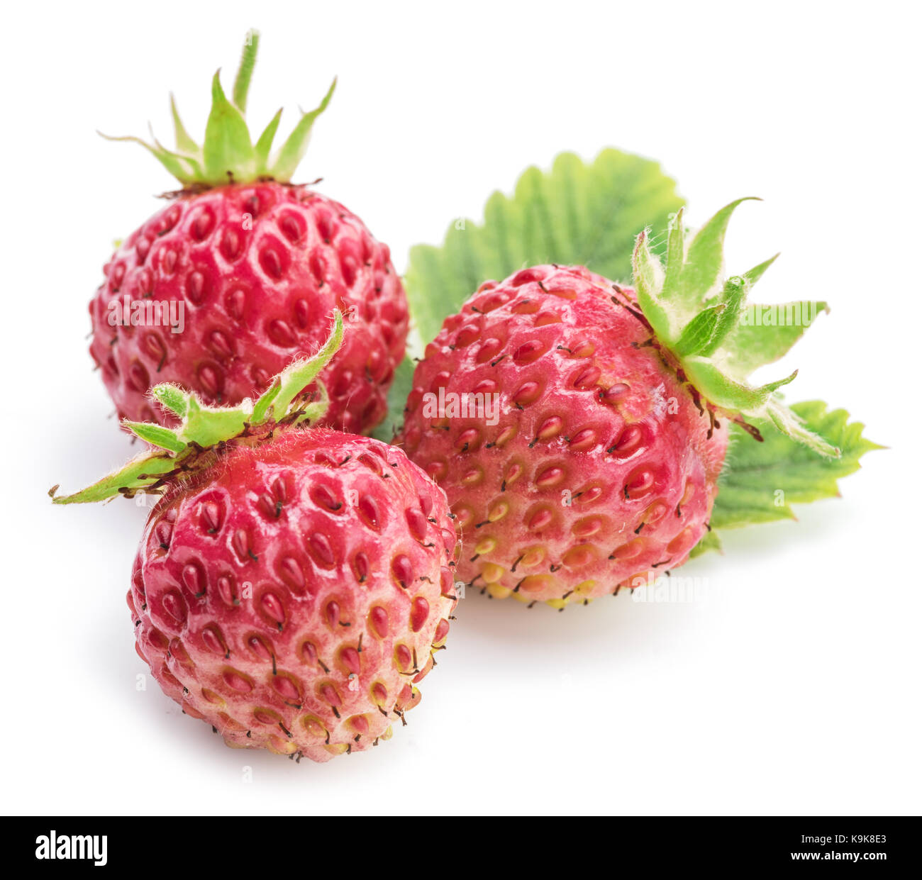 Wild strawberries on the white background Stock Photo - Alamy
