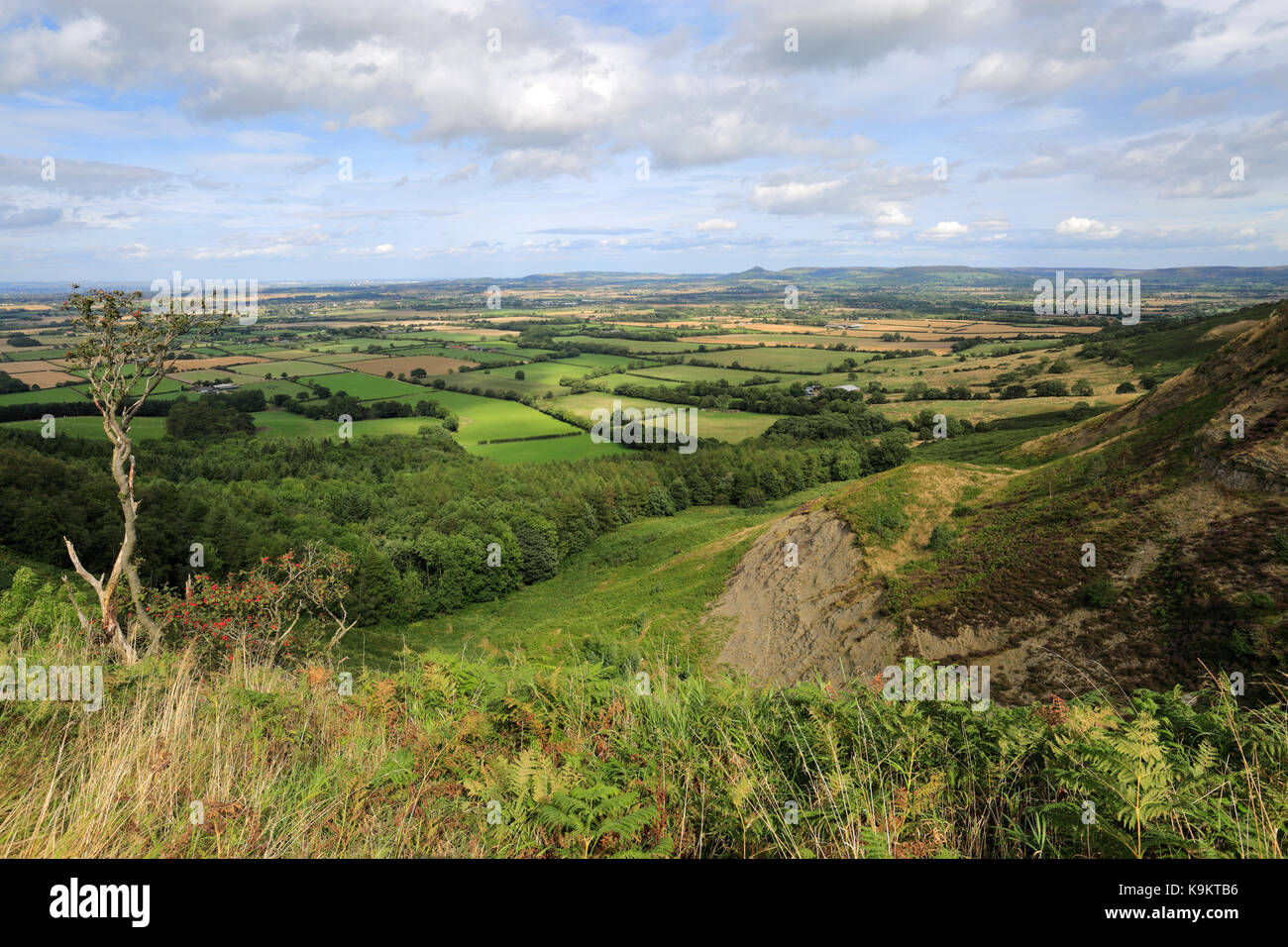 The North York Moors near Carlton village, North York Moors National Park, North Yorkshire
