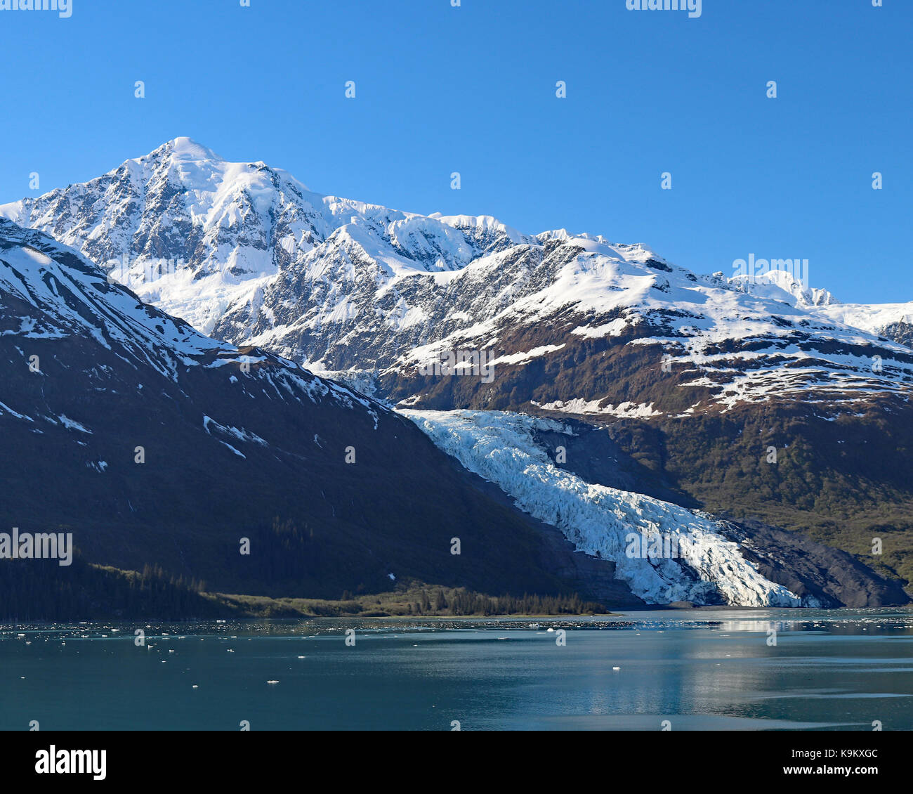 Tidewater glacier along the shoreline of Glacier Bay National Park and Preserve, Alaska Stock Photo