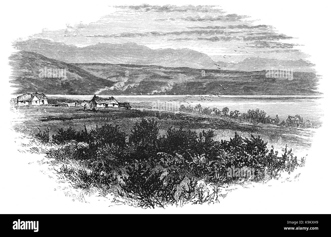 Battle of culloden hires stock photography and images Alamy