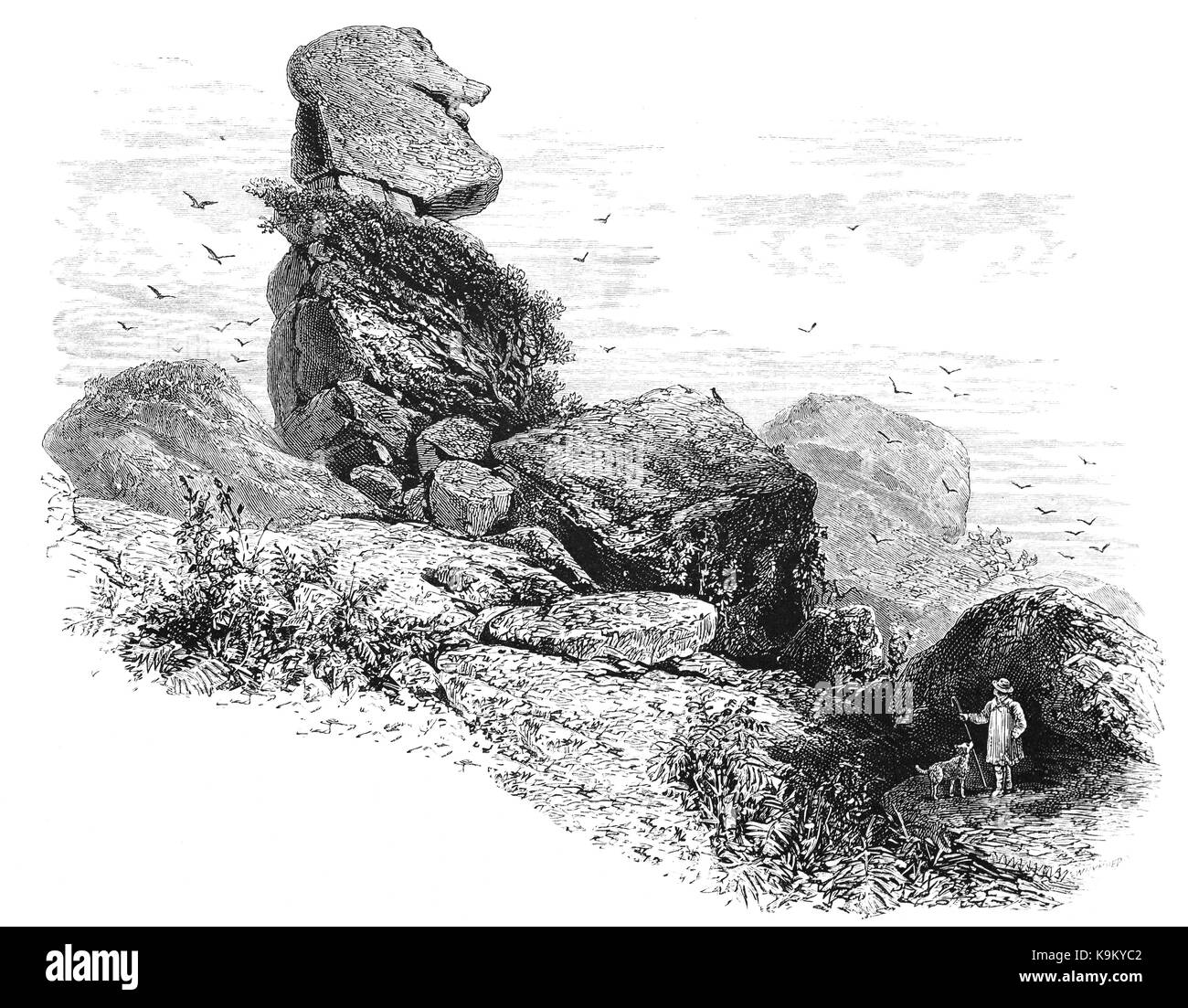 1870: Bowerman's Nose is a stack of weathered granite on Dartmoor, Devon, England. It is situated on the northern slopes of Hayne Down, about a mile from Hound Tor and close to the village of Manaton. It stands about 21.5 feet high and is the hard granite core of a former tor. Stock Photo