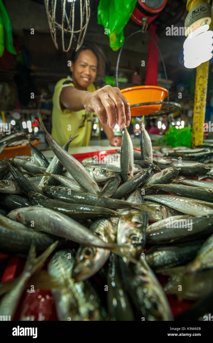 fish stores in my area