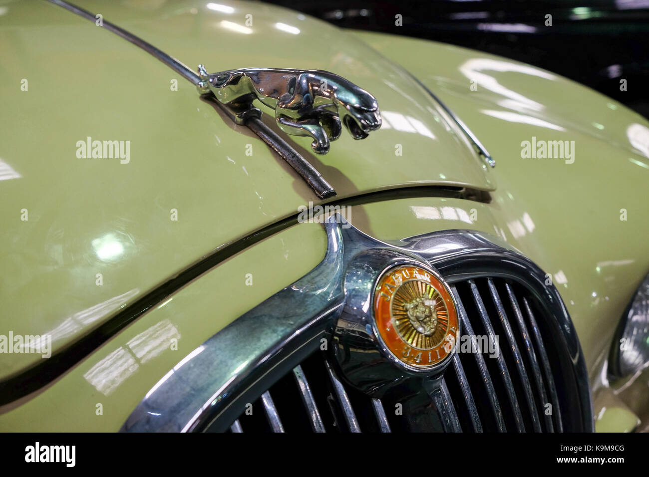 Jaguar car bonnet ornament Stock Photo - Alamy