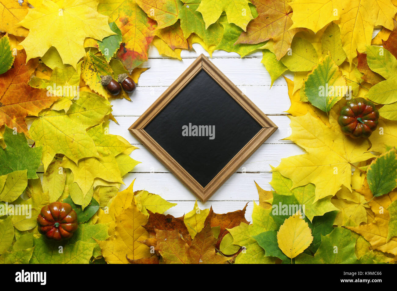 autumn leaves background shape round Stock Photo - Alamy