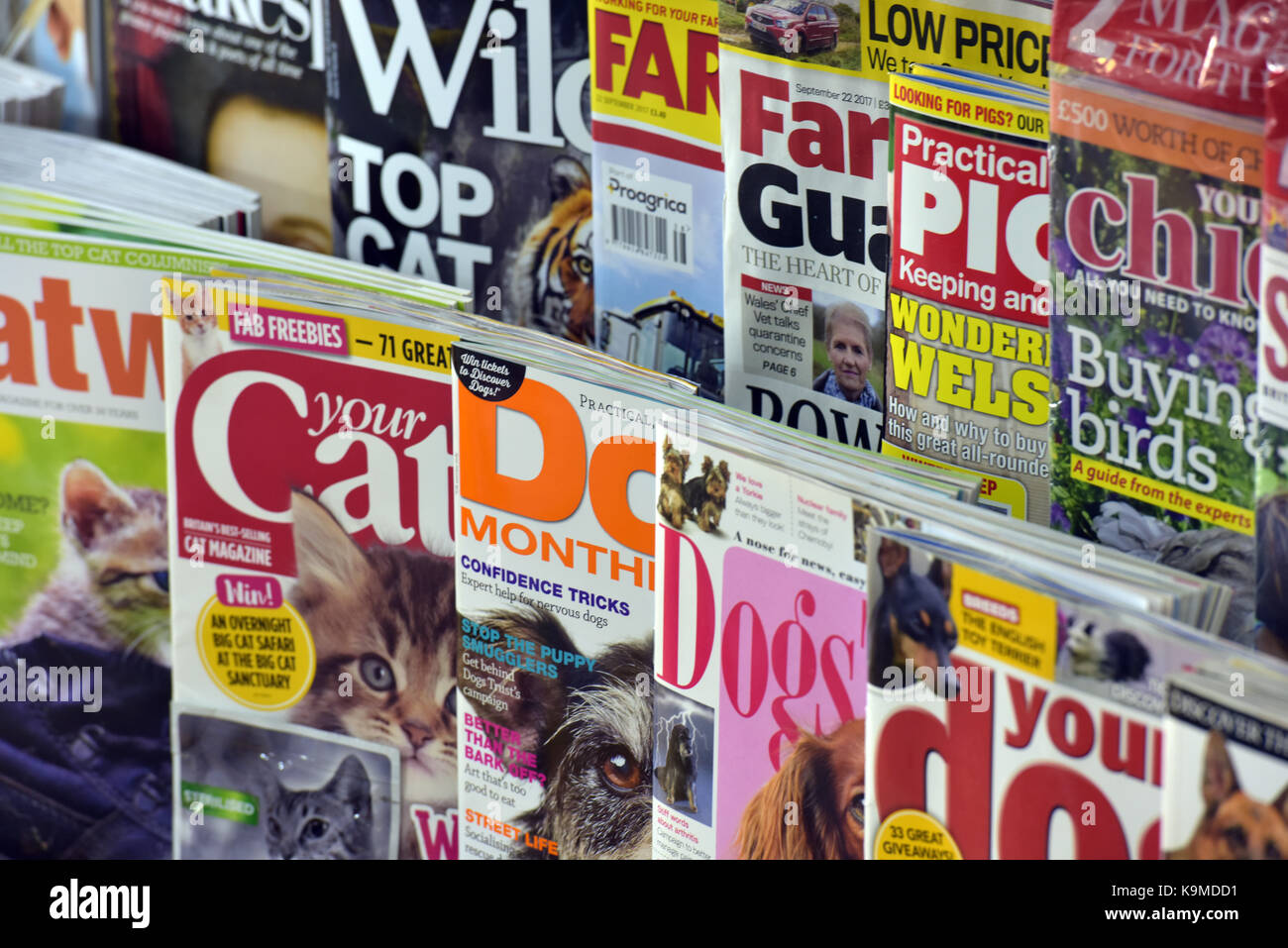 Consumer magazines hires stock photography and images Alamy