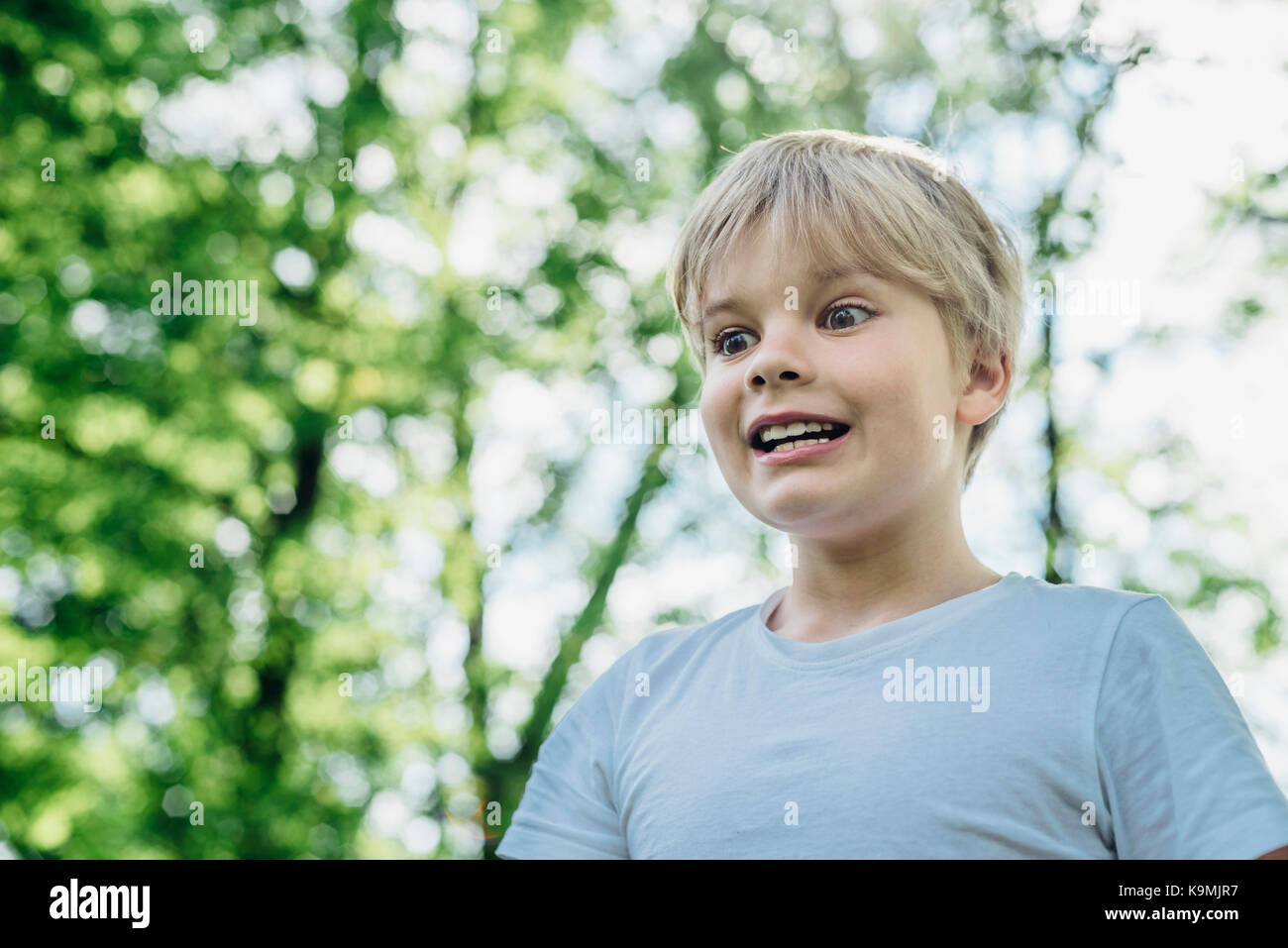 Deutschland, Sachsen, Muldental, Neichen, Stock Photo