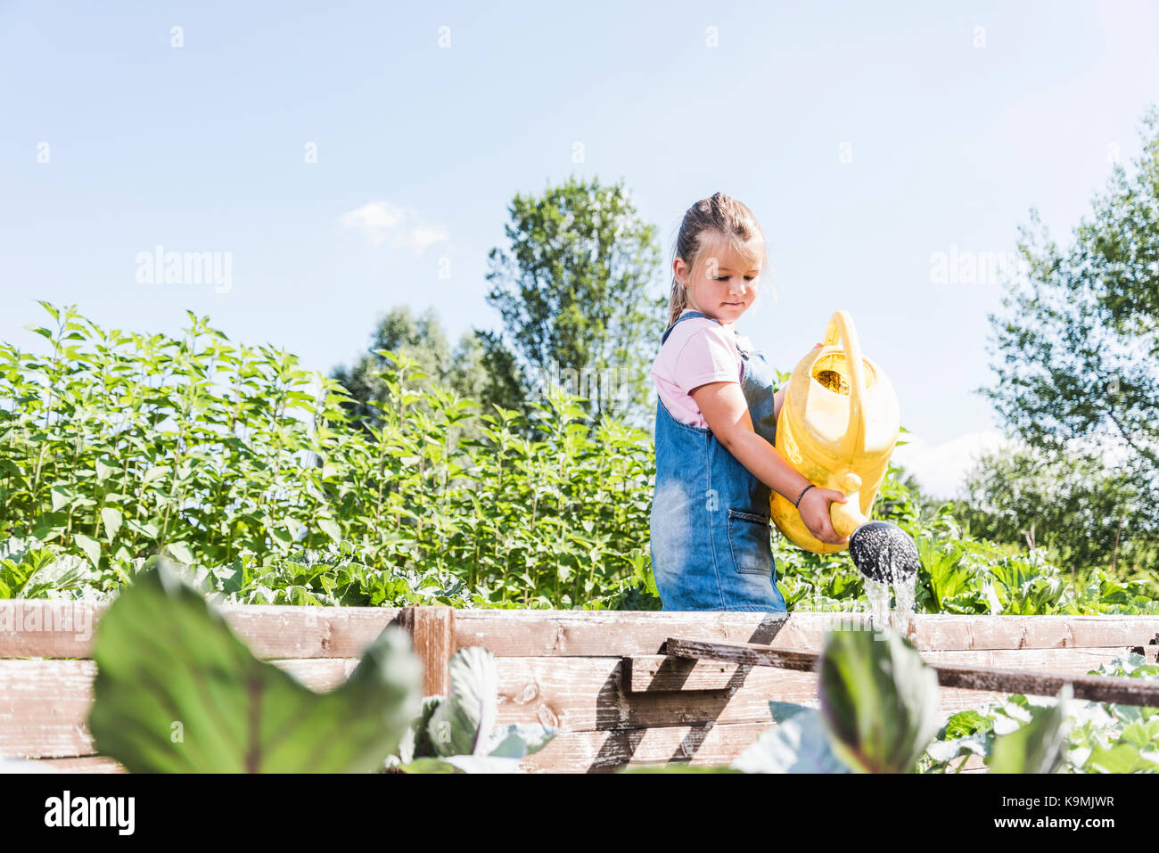 Girl in the garden watering plants Stock Photo