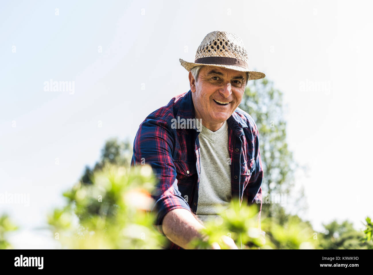 Senior garden copy hi-res stock photography and images - Alamy