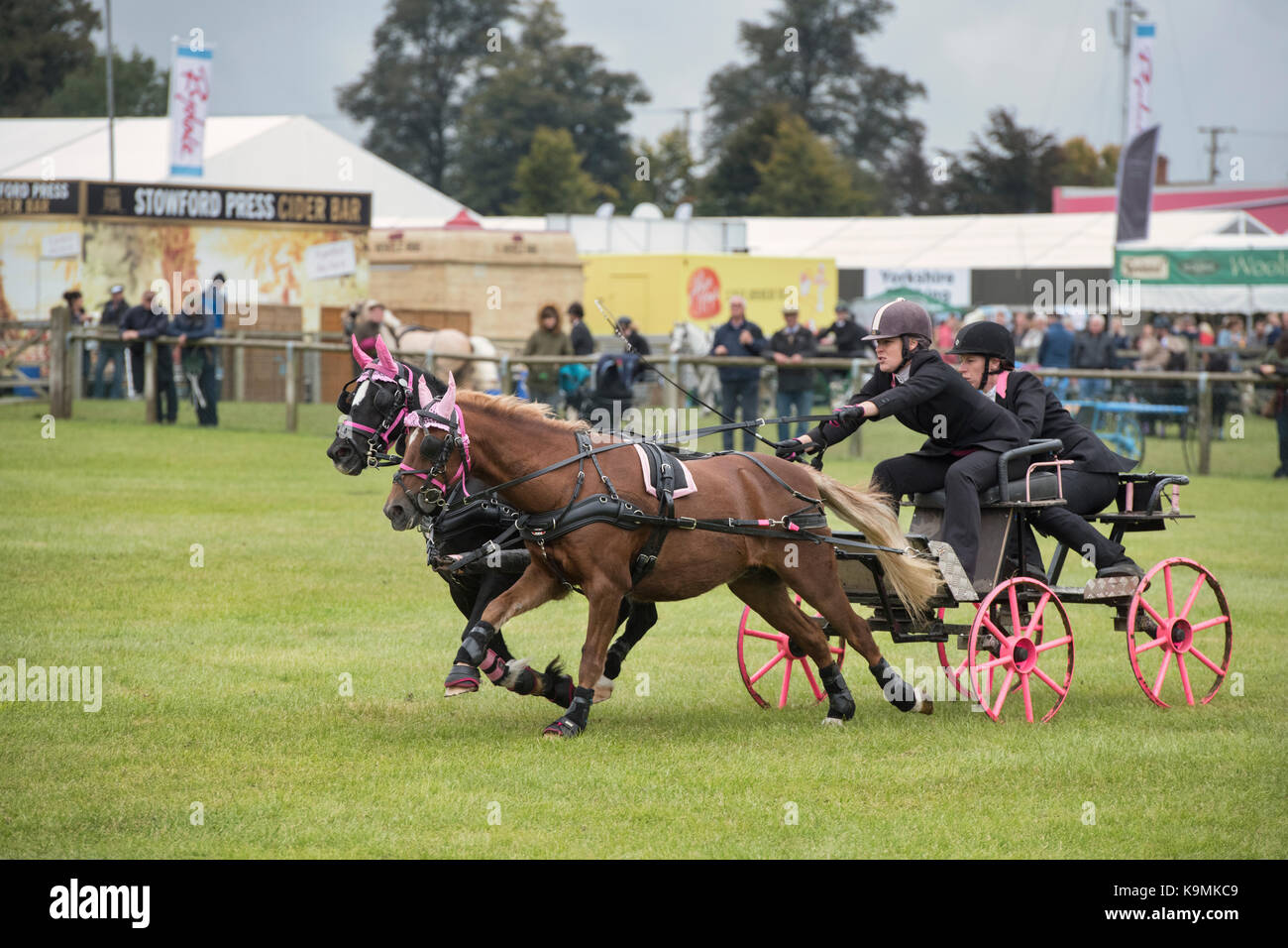 Horse racing ground uk hires stock photography and images Alamy