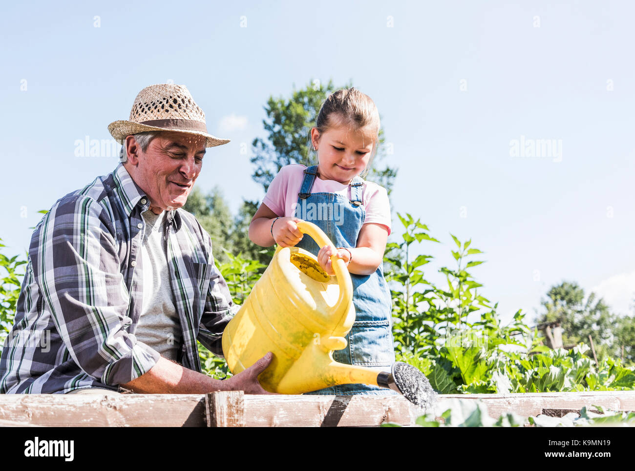 Grandfather and granddaughter in the garden watering plants Stock Photo