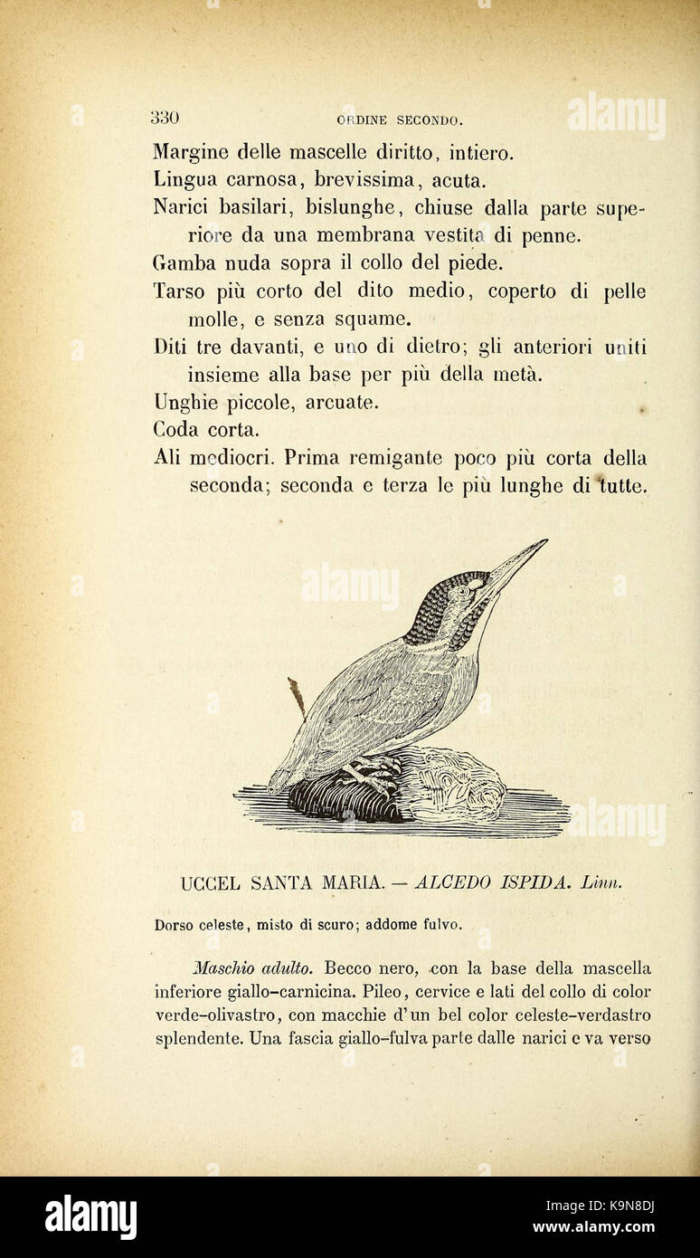 Livre "Ornitologia Italiana" Par E. Arrigoni Degli Oddi - Édition Hoepli 1929 - Bon état