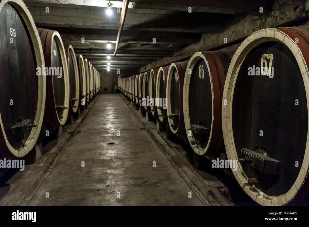 Barrel rows in a winery wine cellar Stock Photo - Alamy